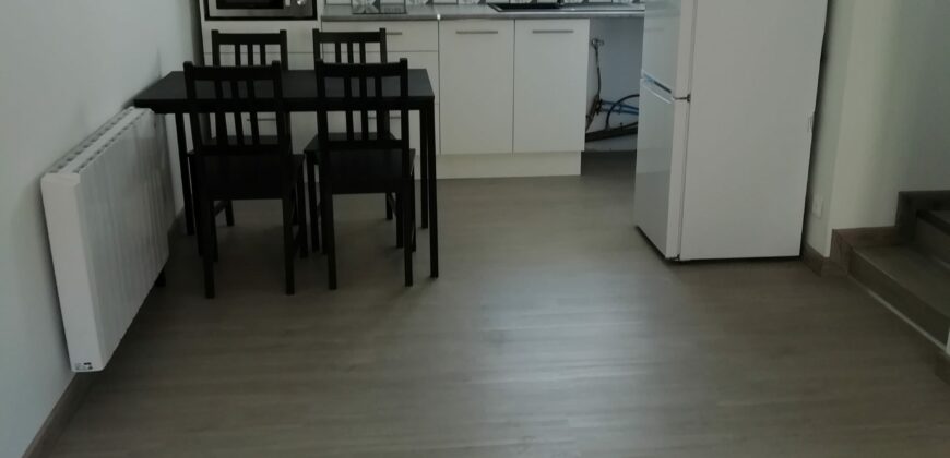 Appartement Boën sur Lignon 35m2