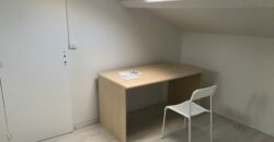 Appartement Saint Etienne 45m2