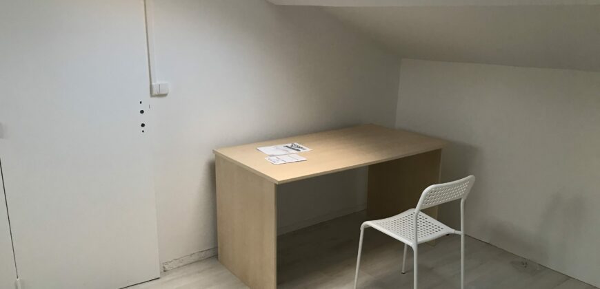 Appartement Saint Etienne 45m2