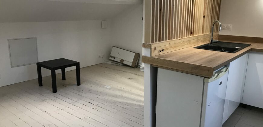 Appartement Saint Etienne 45m2