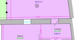 🏡 Roanne Charmant Duplex de 100m² avec Terrasse Privative