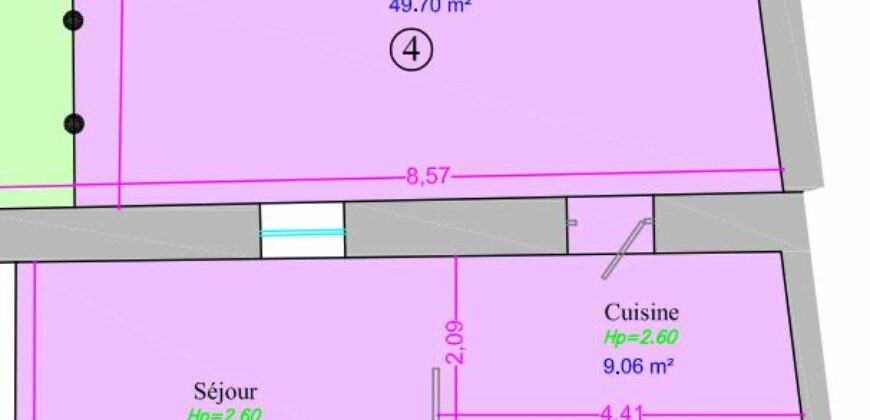 🏡 Roanne Charmant Duplex de 100m² avec Terrasse Privative