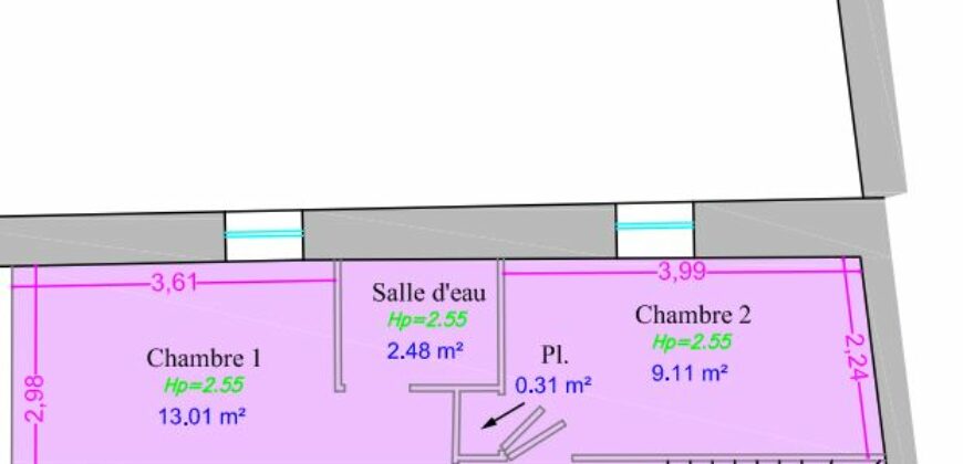 🏡 Roanne Charmant Duplex de 100m² avec Terrasse Privative