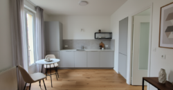 🏡 Roanne Charmant Duplex de 100m² avec Terrasse Privative