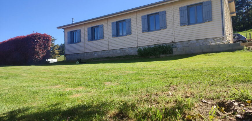 Charmant Chalet Réhabilité à Saint Bonnet le Courreau – Un Havre de Paix au Cœur de la Nature