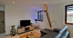 Charmant Chalet Réhabilité à Saint Bonnet le Courreau – Un Havre de Paix au Cœur de la Nature