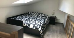 🏢 Immeuble de rapport – Idéal Investisseur – Roanne