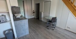 🏢 Immeuble de rapport – Idéal Investisseur – Roanne