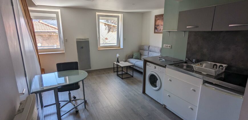 🏢 Immeuble de rapport – Idéal Investisseur – Roanne