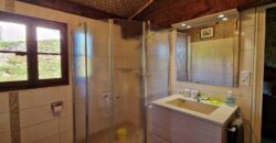 À vendre en exclusivité – Villa avec vue panoramique – Saint-Galmier