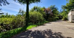 Propriété de caractère dans un écrin de verdure à Saint-Galmier
