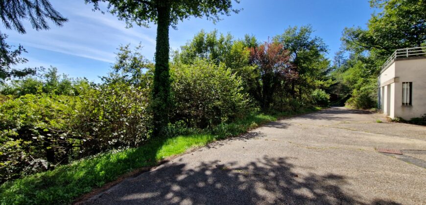 Propriété de caractère dans un écrin de verdure à Saint-Galmier
