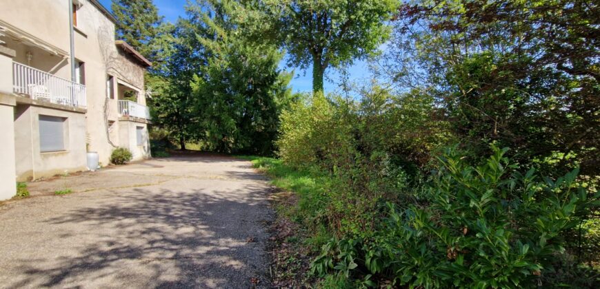 Propriété de caractère dans un écrin de verdure à Saint-Galmier