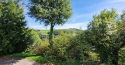 Propriété de caractère dans un écrin de verdure à Saint-Galmier