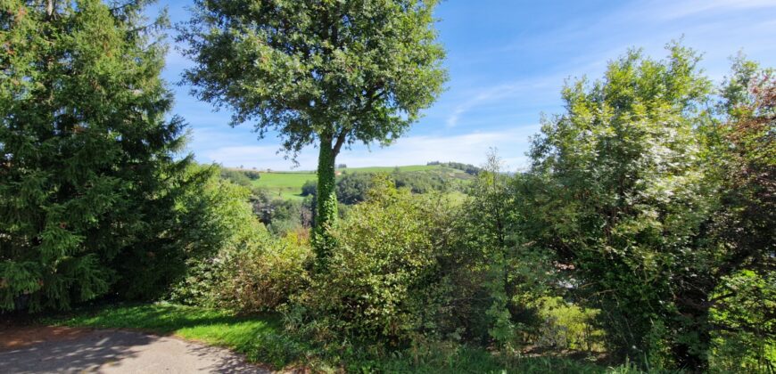 Propriété de caractère dans un écrin de verdure à Saint-Galmier