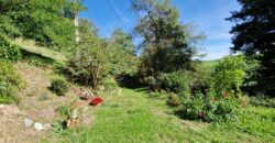 Propriété de caractère dans un écrin de verdure à Saint-Galmier