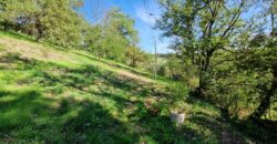 Propriété de caractère dans un écrin de verdure à Saint-Galmier