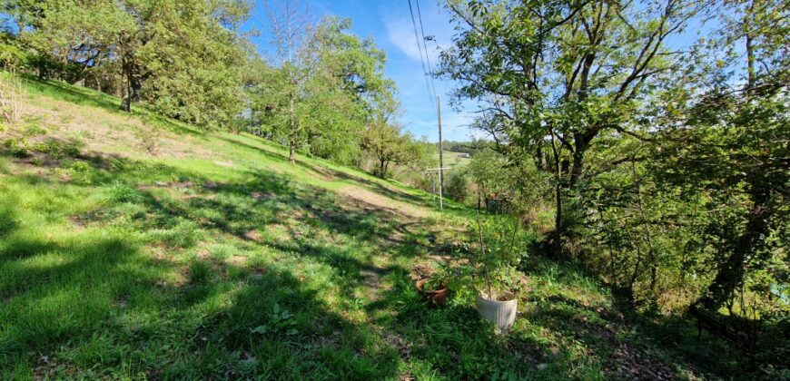 Propriété de caractère dans un écrin de verdure à Saint-Galmier