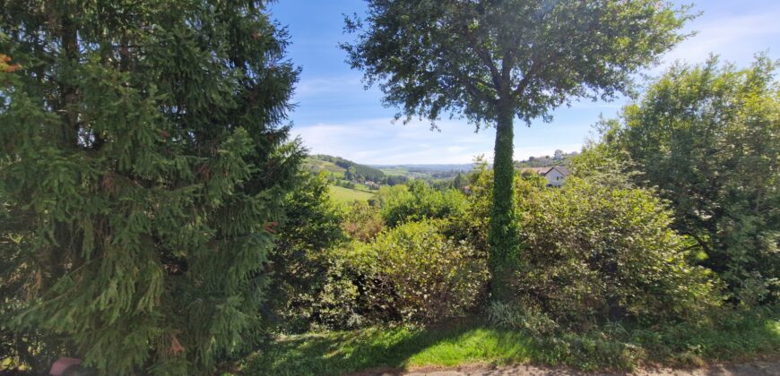 Propriété de caractère dans un écrin de verdure à Saint-Galmier
