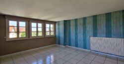 EN EXCLUSIVITÉ – Maison bourgeoise en plein cœur de Montbrison